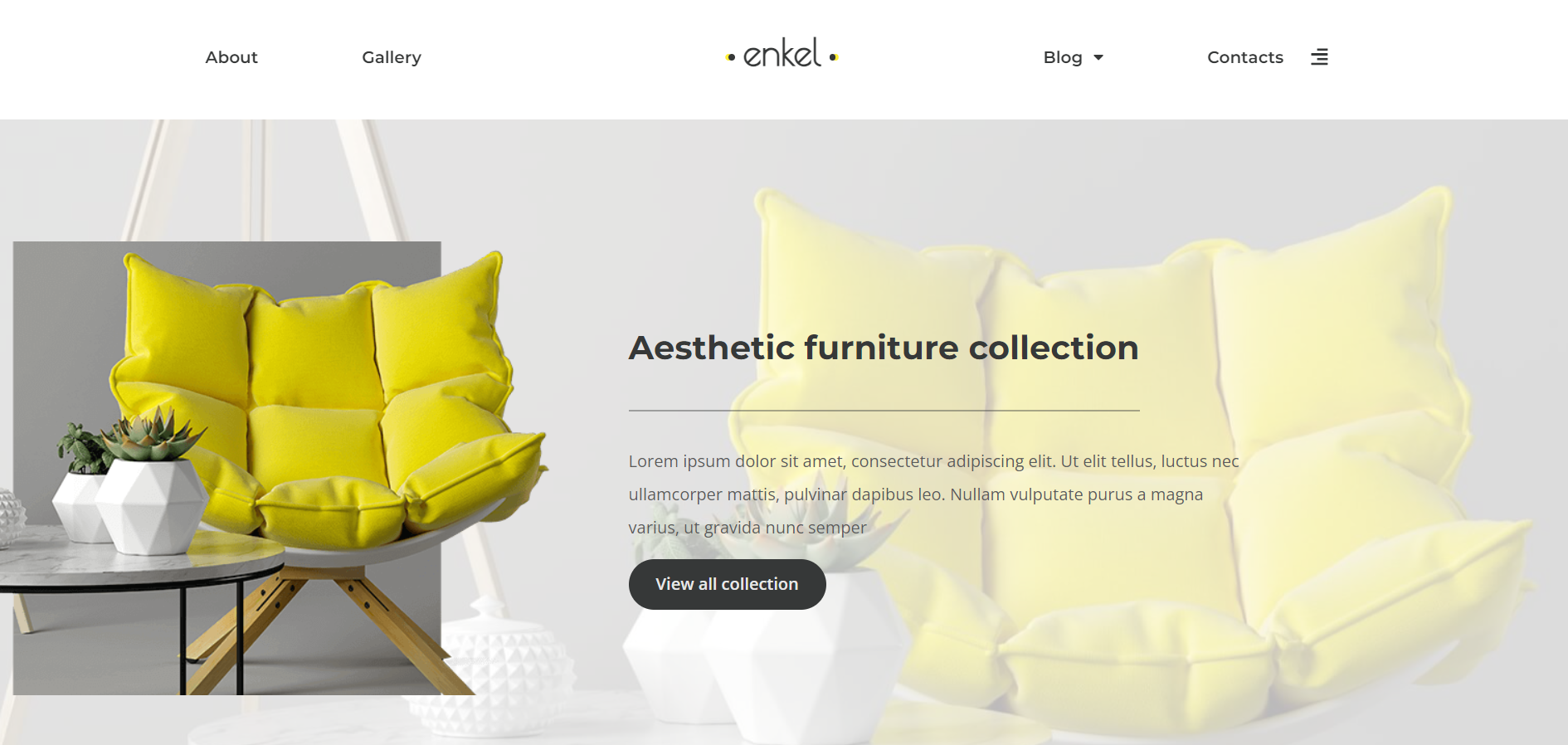 Furniture Website